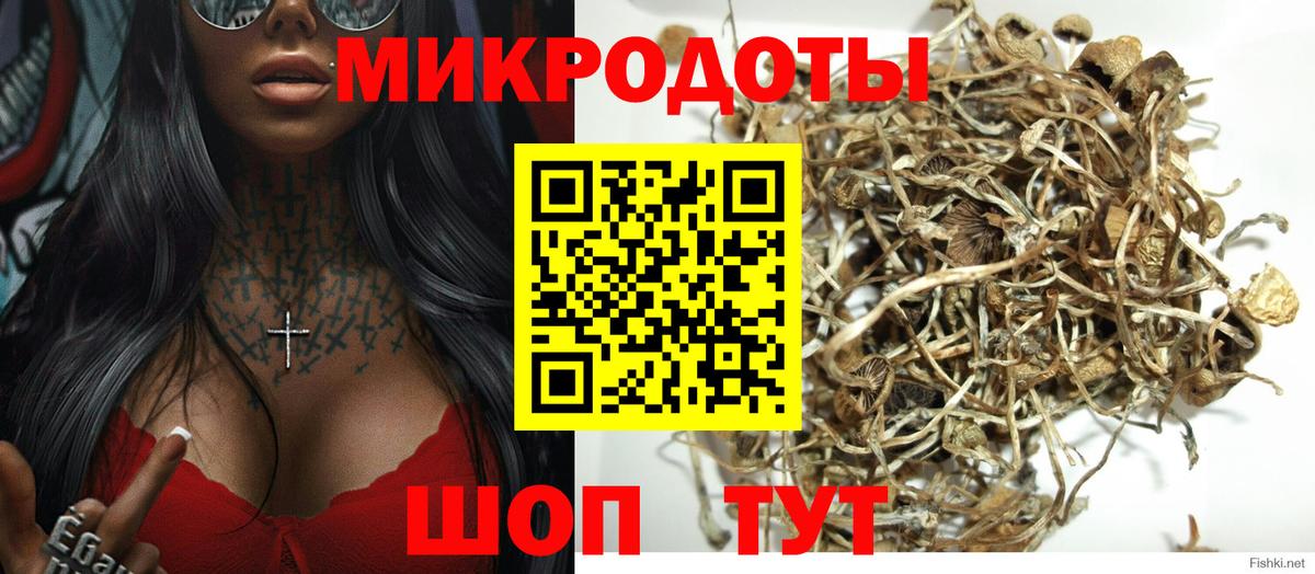 Псилоцибиновые грибы Psilocybe Белорецк