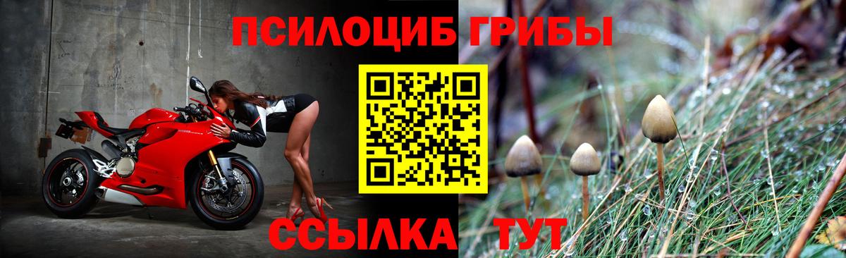 Галлюциногенные грибы прущие грибы  Вход с VPN  купить   Белорецк 